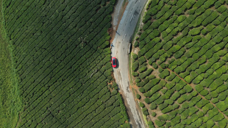 Drone Wedding – Palace Aerial – Drone Wedding Photography Chandigarh