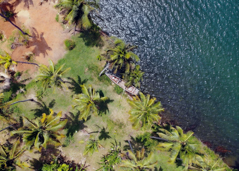 Reception Venue Drone – Drone Photography Chandigarh