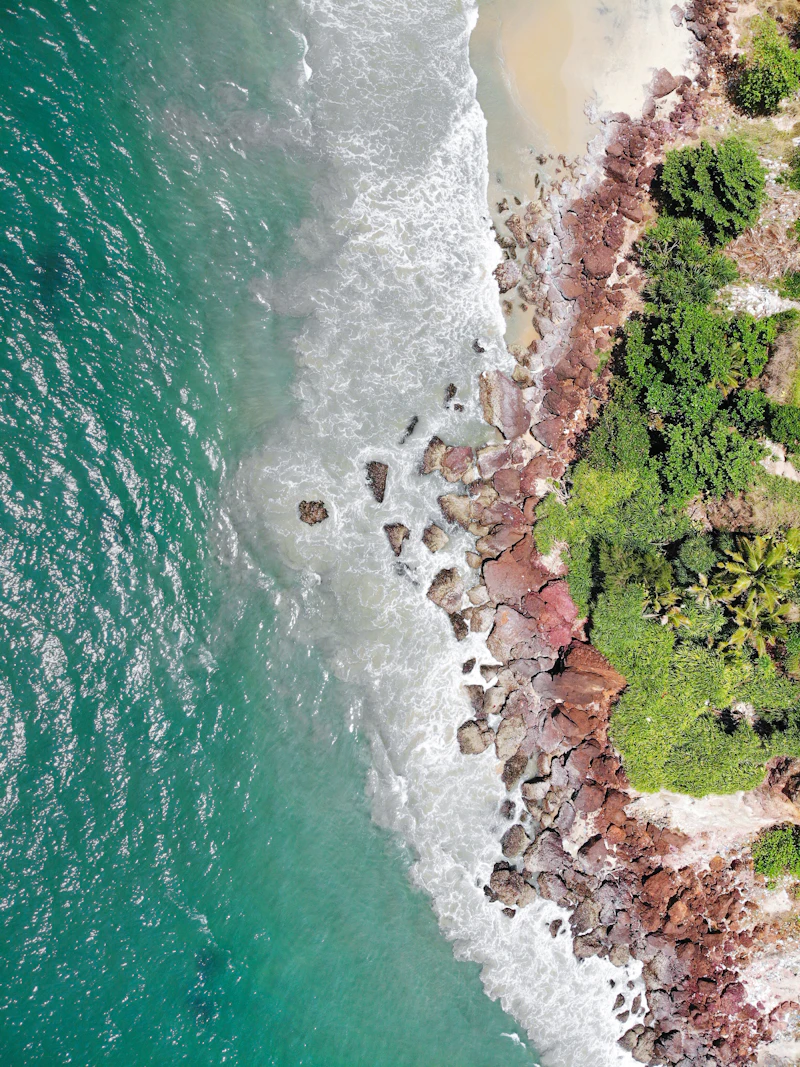 Couple Aerial Portrait – Drone Photography Chandigarh