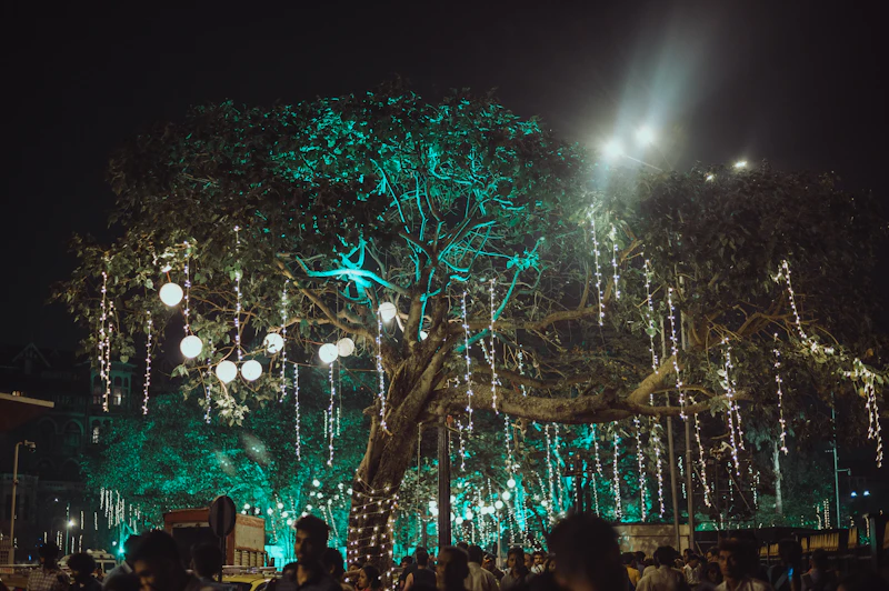 Sangeet Night – Colorful Stage – Sangeet Photography Chandigarh