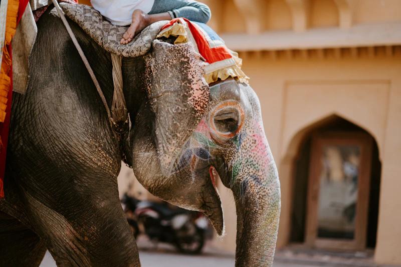 Travel India – Mysore – Travel Photography Chandigarh