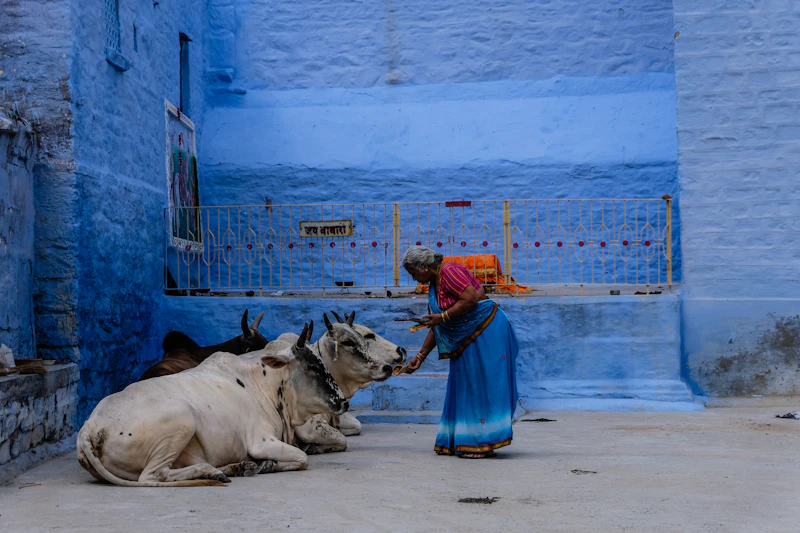 Travel Photography – Kerala – Travel Photography Chandigarh