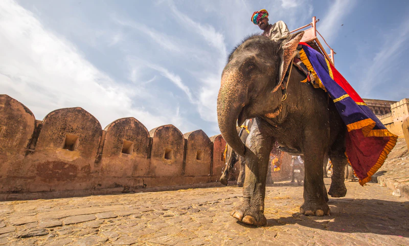 Travel India – Golden Temple – Travel Photography Chandigarh